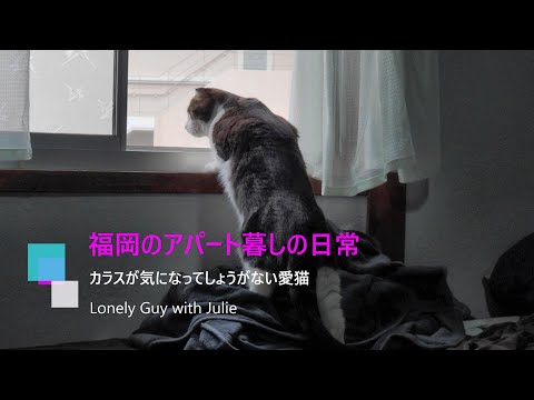 愛猫との日常　カラスが気になってしょうがない😸【大阪のタワマン→福岡のアパート暮しvol.12】　A cat who is worried about crows and can't help it