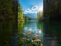 Medieval Music for Focus & Relaxation | The Gray Wizard’s Journey