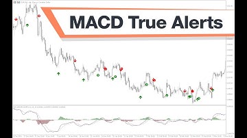 MACD True Alerts Forex Indicator MT5 - Best Review For 1 Minute