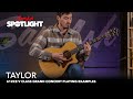 Taylor 612ce V Class Grand Concert Playing Examples