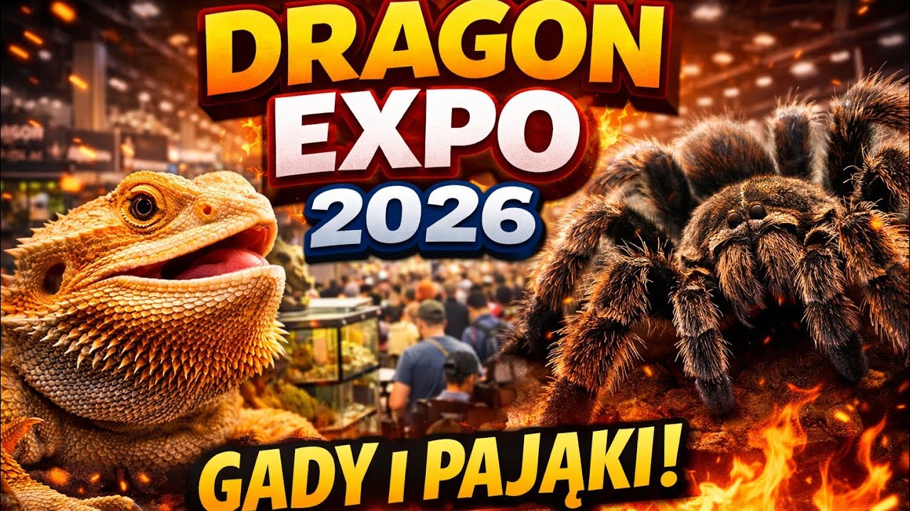 👉 Dragon Expo 2026 🐉 | Tłumy, zwierzęta i moje szczere wrażenia (VLOG)