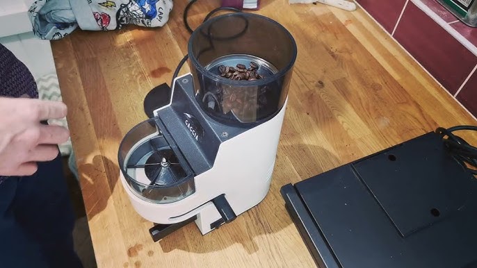 Gaggia MDF Coffee Grinder – Whole Latte Love