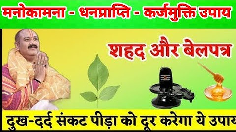 बेलपत्र और शहद से दुख संकट पीड़ा को दूर करने का उपाय। Shri Pradeep Mishra Ji Upay ll