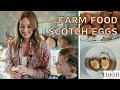 Make this farm food when youre hungry  scotch eggs