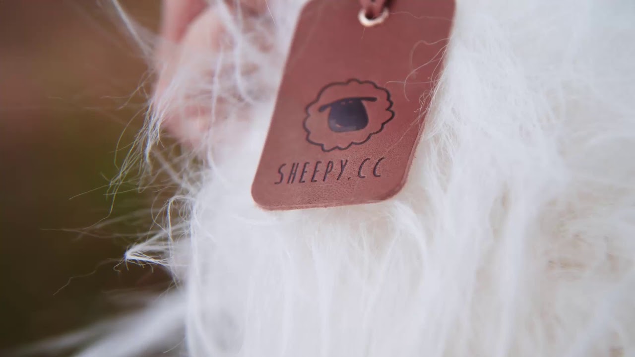 Ijslandse Schapenvacht Wit Sheepy.cc Nala