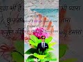 Rohit Singh Chouhan farrukhabad 76