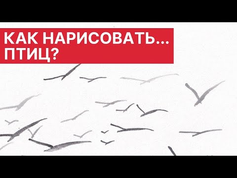 Видео: Как да нарисувате летяща птица