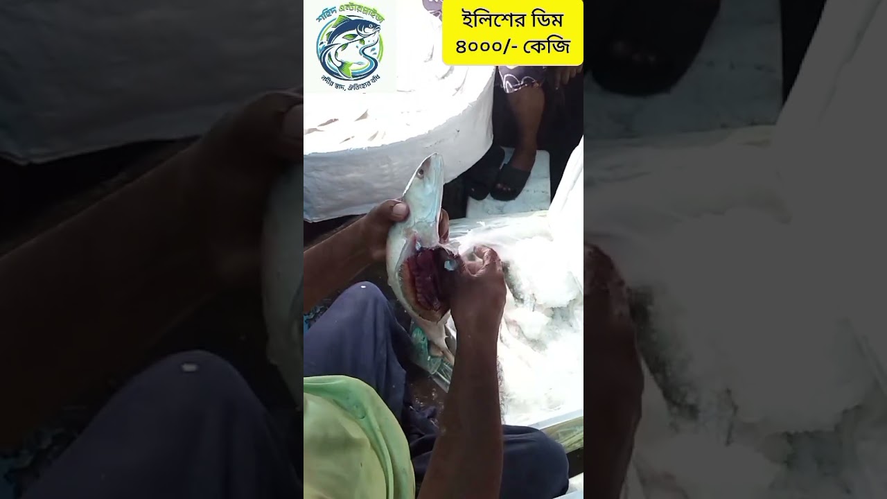 ইলিশের ডিম