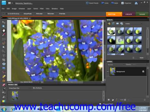 Photoshop Elements 9.0 Tutorial Moving the Image Adobe Training Lesson 3.9