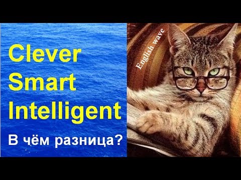 Video: Ist clever gleich intelligent?