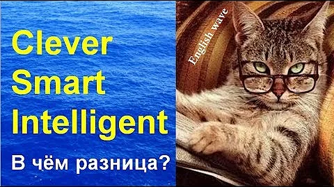 Разница между Clever, Smart, Intelligent. Лексика Английского языка Умный по-английски