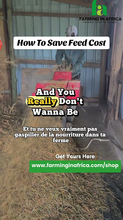 How To Save Feed Cost At The Farm!! #semanhyiafarms #animalfarming