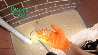 Blocked Drain 1293