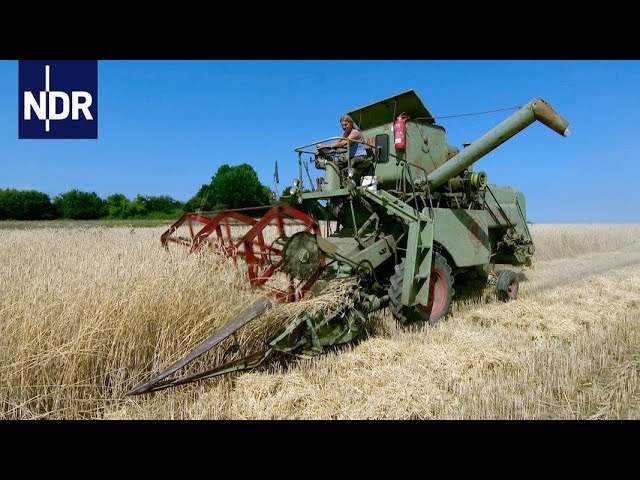 Erntezeit auf dem Ur-Bauernhof | Die Nordreportage | NDR