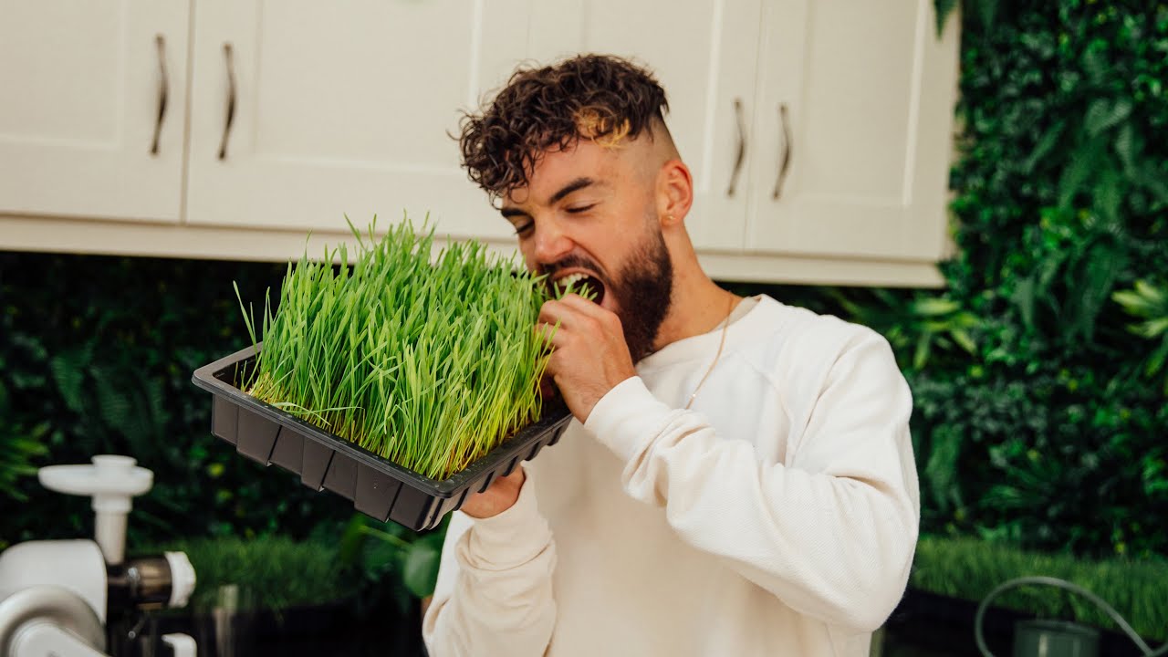 avantgardevegan chicken AN UNBELIEVABLE SUPER FOOD..you must know about!