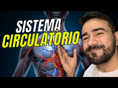 Vídeo: Onde são chamados os menores tubos do sistema circulatório?