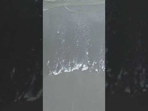 Cheb Othman Kayen Rabi