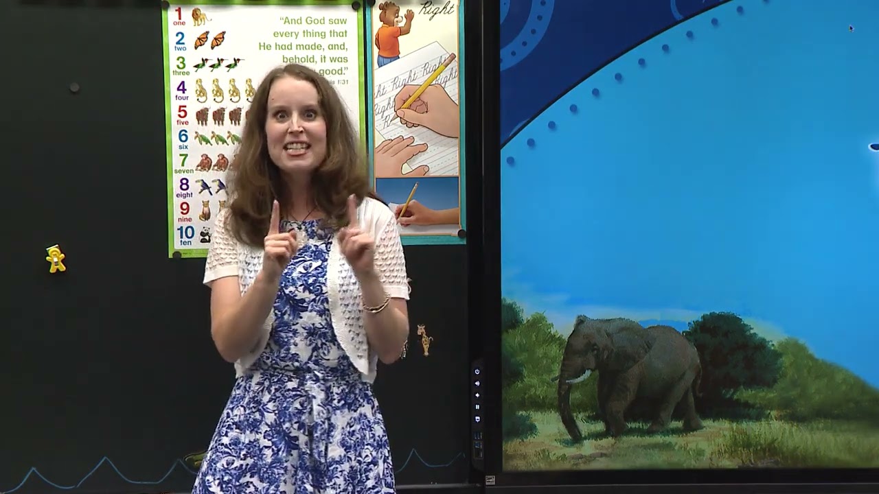 ABEKA Grade 1 -  Lesson 2 - Spelling Poetry