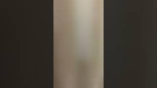 Download Lagu *SHILUO DE MEI GUI HUA* MP3