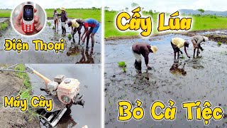 Bỏ Cả Cỗ Bố Vợ Mời Để Đi Trồng Lúa, Anh Pascoa Quyết Tâm Học Hết Bí Quyết Của Việt Nam @CongGiap 