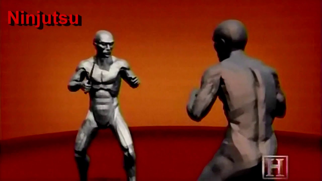 Ninjutsu - History and Moves