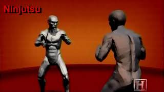 Ninjutsu - History and Moves