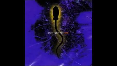 JBK (Jansen Barbieri Karn) - Seed .full (wav)