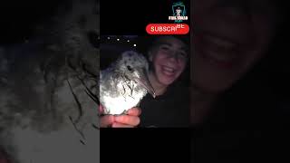 Hilarious Fail Of The Day