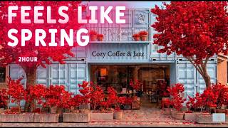 🌸Feels Like Spring – Warm & Cozy Cafe Mellow Music (2 Hours) – 癒しのカフェBGM