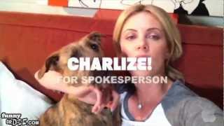 Aspca Commercial Parodies Know Your Meme Aspca Commercial Parodies Know Your Meme