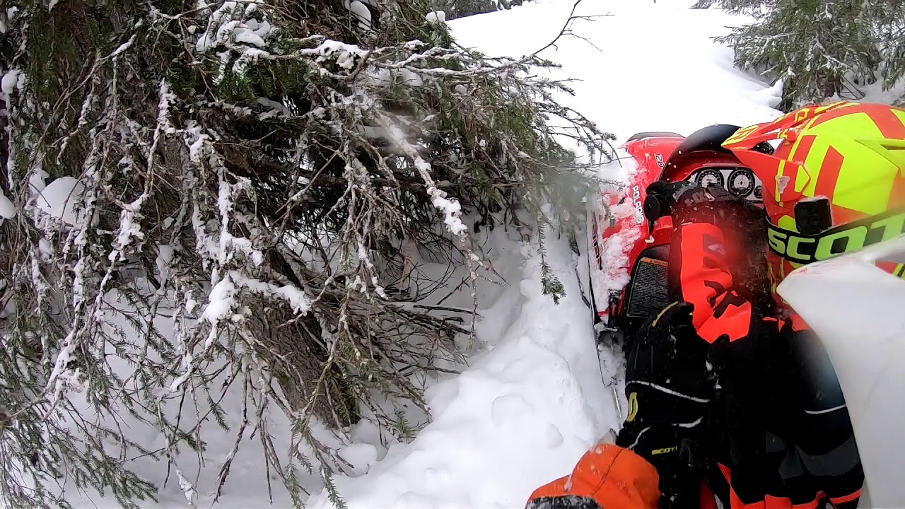 Polaris Indy 120 Kids