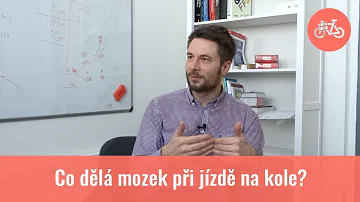 Co je pohybová aktivita?