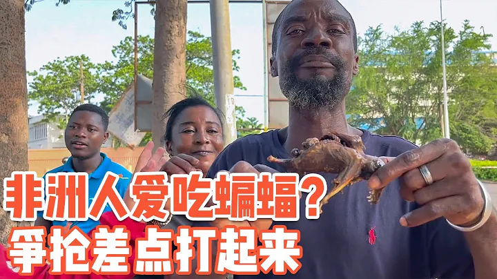 沒想到非洲人這麼愛吃「蝙蝠」，我請客差點打起來【耀陽環遊記】 - 天天要聞