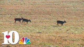 TWRA announces new hunting unit maps for deer and turkey