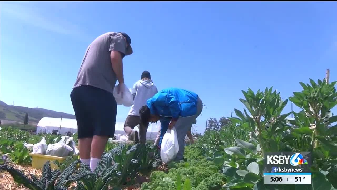 High school students get hands-on farming experience in SLO