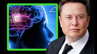 Elon Musk on Neuralink | MOONSHOTS by Peter H. Diamandis 3,298 views 1 month ago 4 minutes, 18 seconds