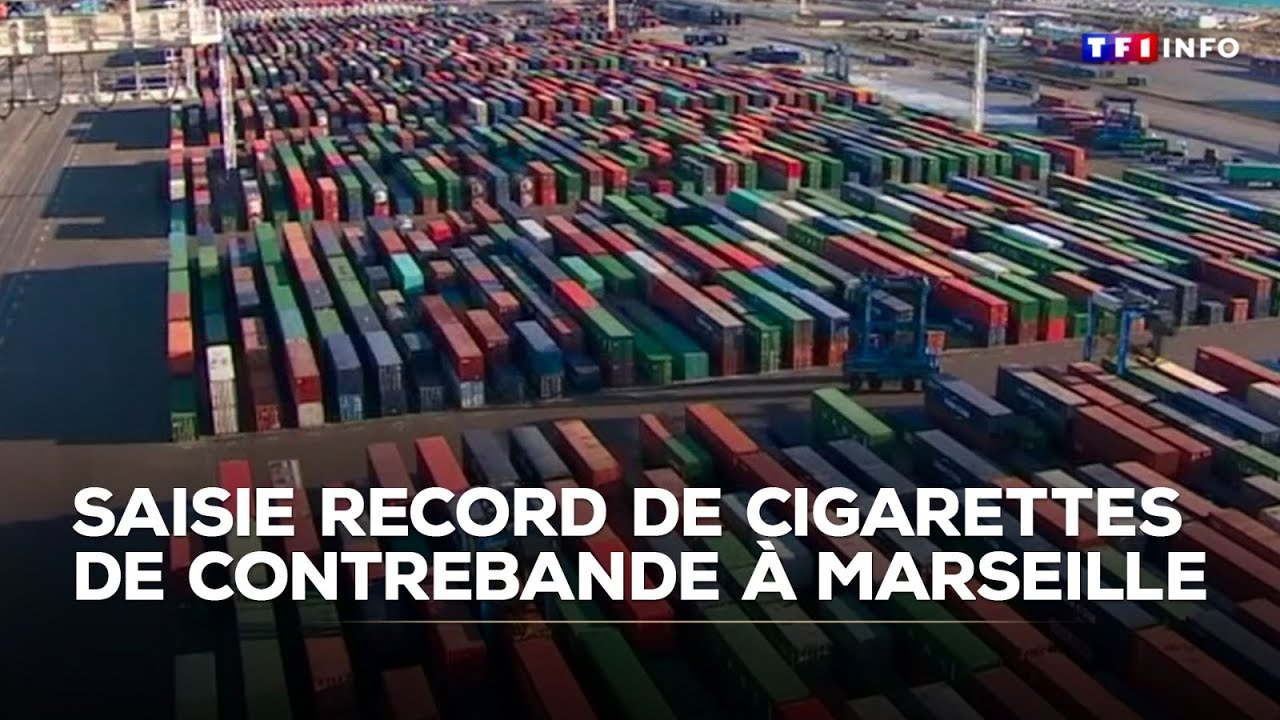 Saisie record de cigarettes de contrebande à Marseille｜TF1 INFO
