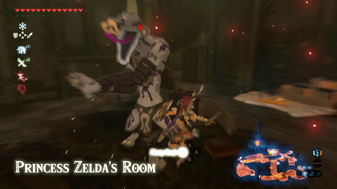 Breath of The Wild (Switch II)