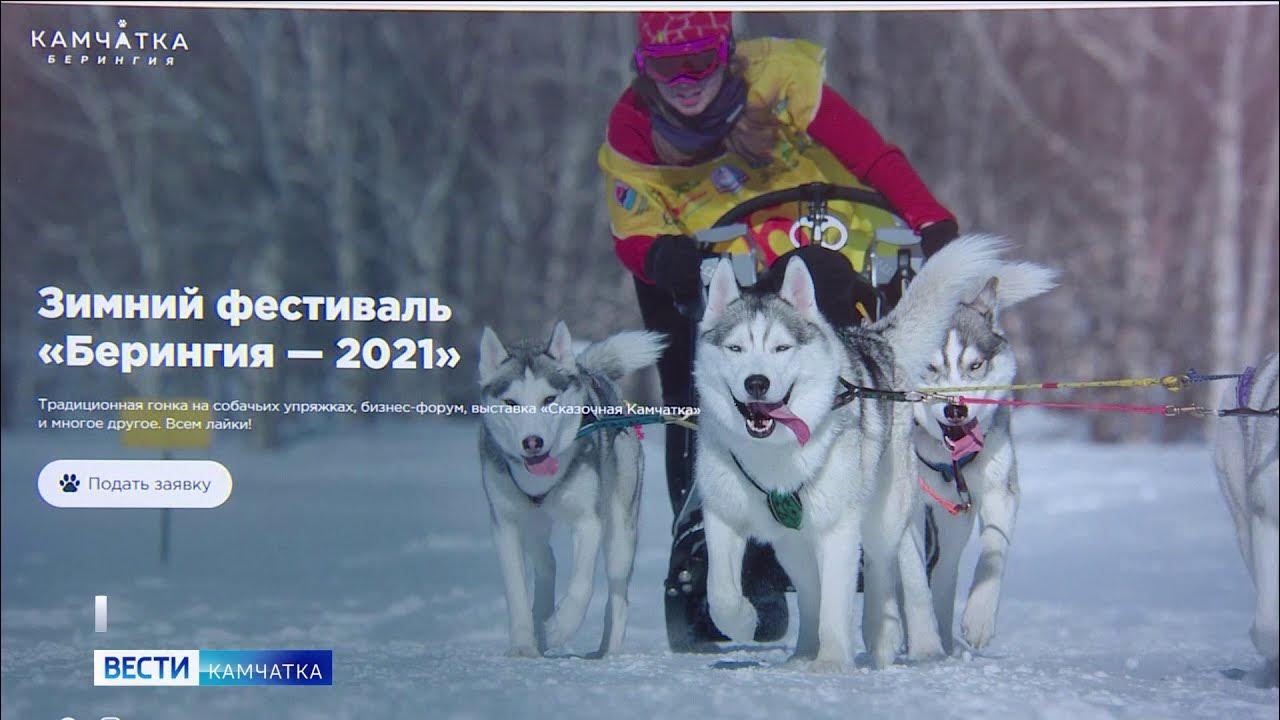 Берингия 2021. Берингия 2024 даты. Берингия 2022 камчатка. Камчатская библиотека крашенинникова. Берингия карта.