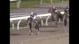 Furioso -  G1 Japan Dirt Derby 2007 (1st) screenshot 3