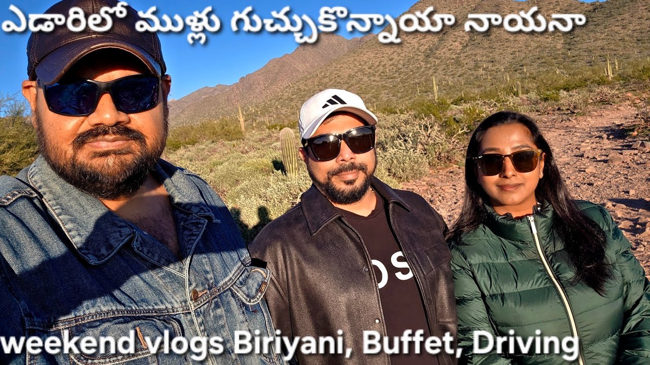 Mutton Biryani Buffet ఎడారి లో driving Weekend vlogs with friends Phoenix usa telugu food vlogs