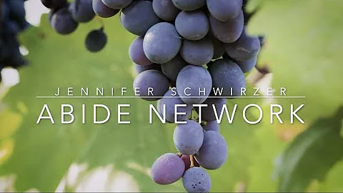 Testimony now interviews Jennifer Jill Schwirzer from Abide Network.