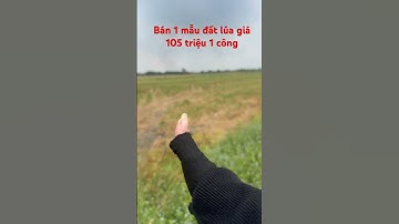 Bán 1 mẫu đất lúa giá 105 triệu 1 công khu vực chuyên trồng cây ăn trái thuộc huyện Thạnh hóa