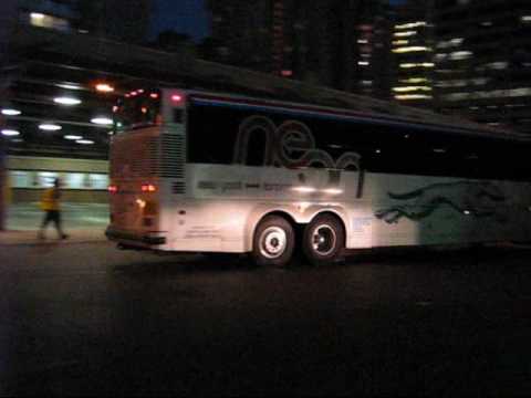 greyhound canada bus