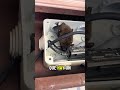 *Inserte audio de PRR tac tac PRE tac* / video de murciélago dentro de un registro de cámaras  #fyp