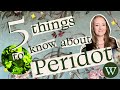 Five Things to Know About Peridot: the birthstone for August