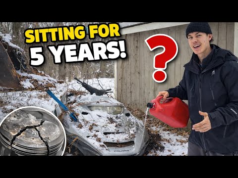 This Snowmobile Was Left to Die… We Tried Starting It (Bad Idea!)