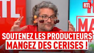 Ce week-end mangez des cerises ! L'appel d'Olivier Dauvers sur RTL