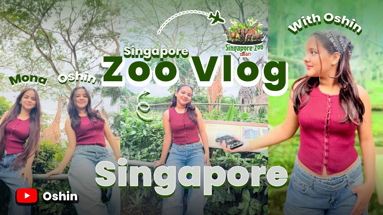 Singapore Zoo vlog || Tour to Zoo || Oshin || Vlog