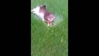 VID 20160611 171940